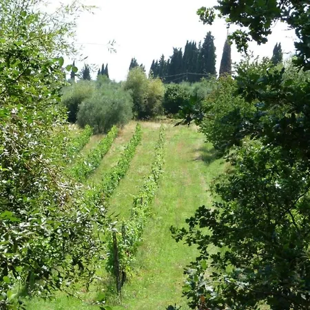 With Swimming Pool Peccioli