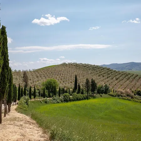 公寓 With Swimming Pool Peccioli